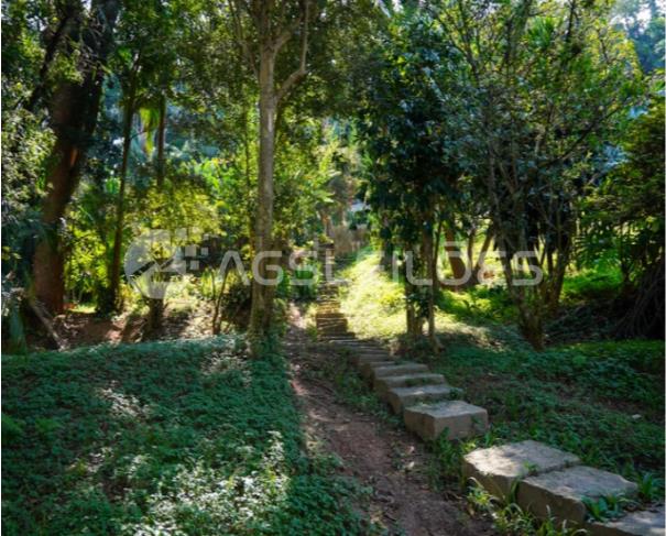 Foto de Área para incorporação com 4.315,00m² A.T.