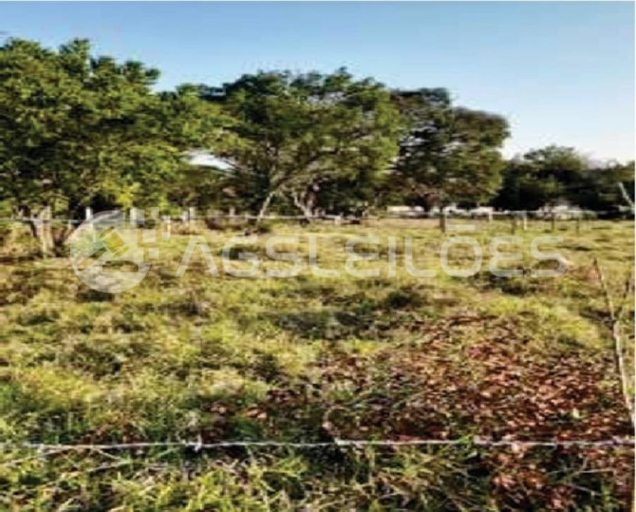 Terreno com 11.364,50m² A.T. SARAPUÍ/SP - VILA SÃO JOÃO - TERRENO 11.364,50m² A.T., localizado em Sarapuí - SP